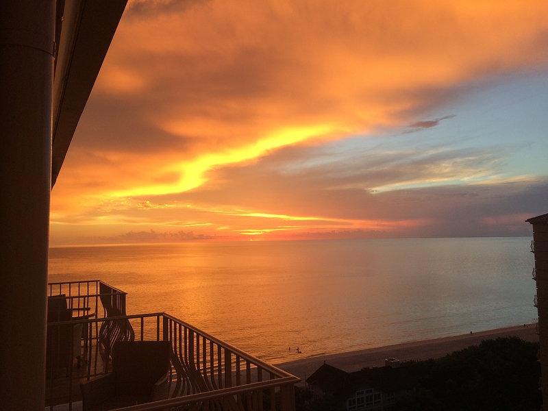 D011730F-EA41-4D47-9596-C8CD360E8FD8