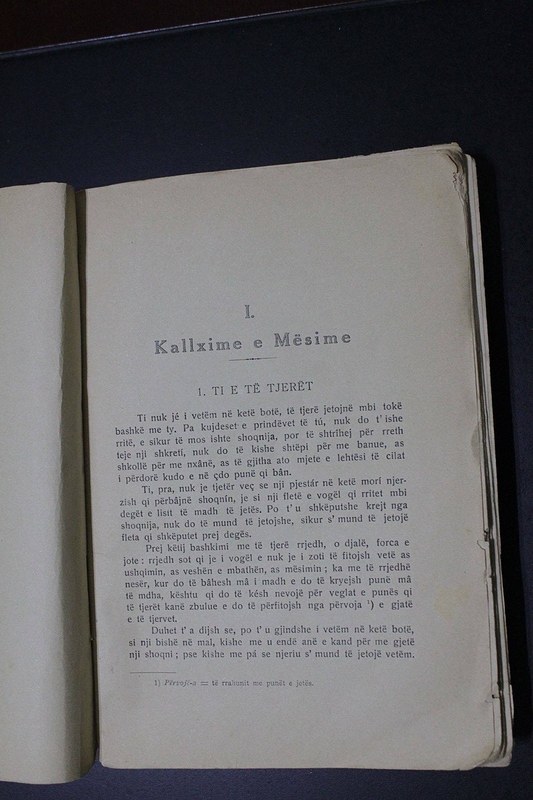 C5AB7A6B-73B9-416E-8F3F-7FEFFE18E5EC