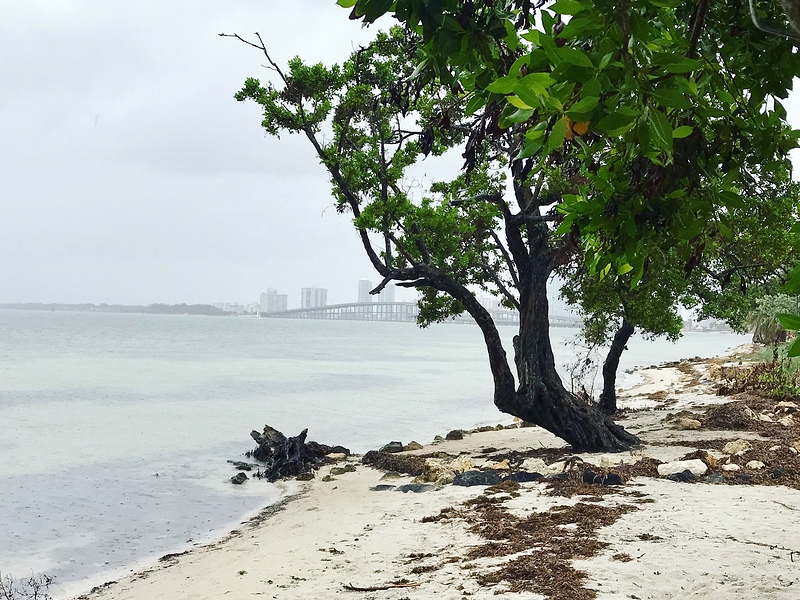 A96BEFAA-7662-4783-9F0E-C9BB7D35763F