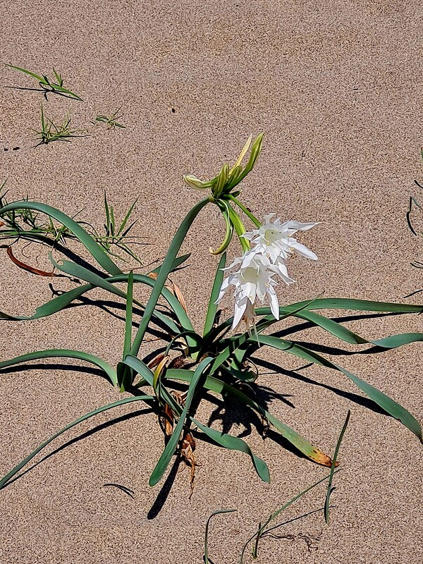 304926537_6160228347327874_3349645261176983011_n