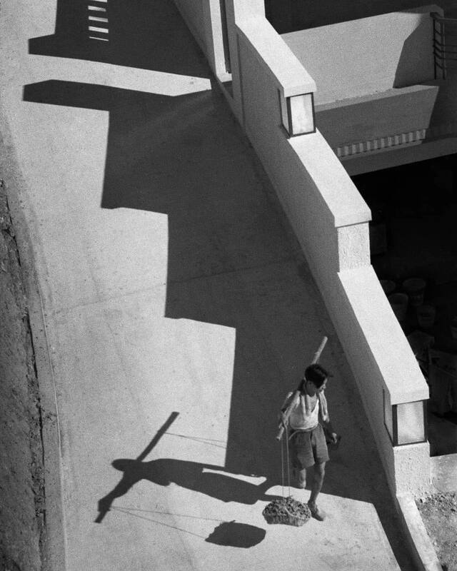 475064630_1004866361453687_8569193305076239652_n