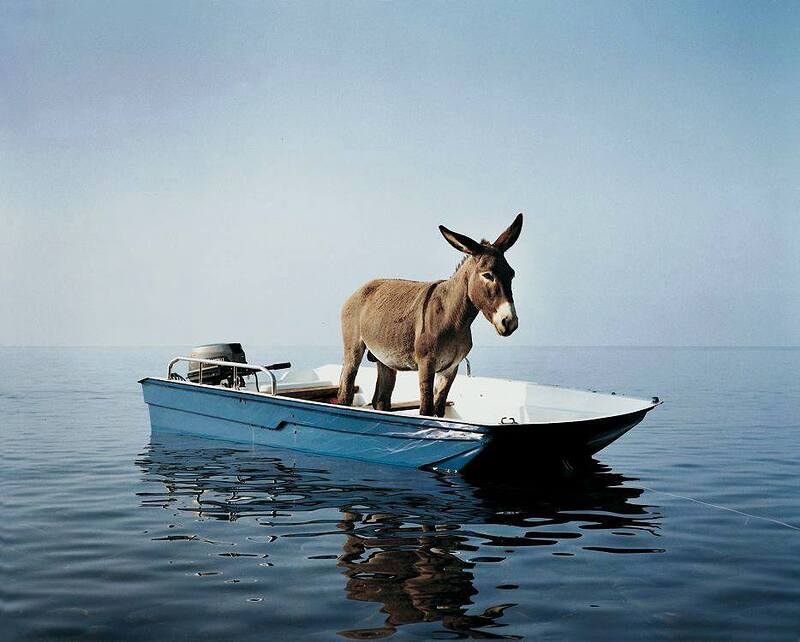 ane_barque_liquide_interlude