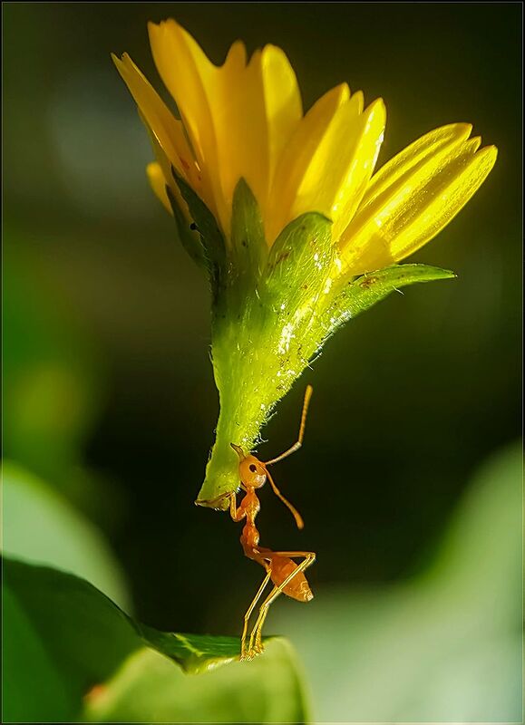 318069942_2229673317194847_4339099533756923929_n