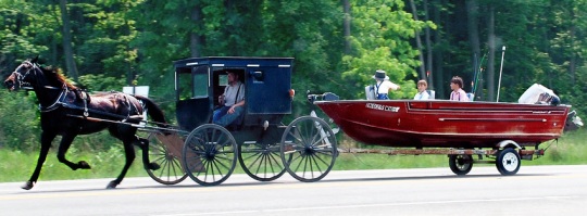 800425051e98c2c8e3dd26ffbff3145f