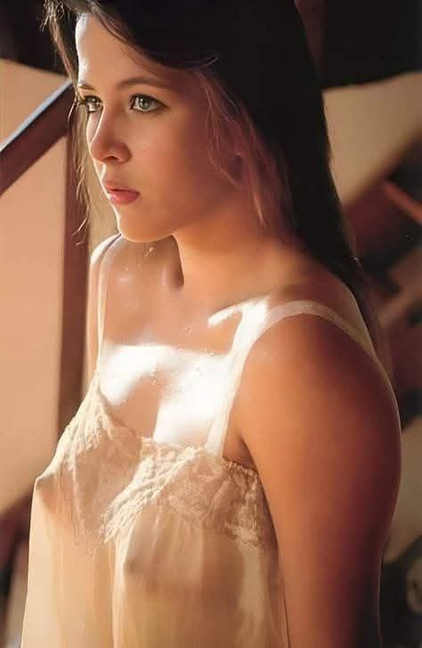 481480076_1196294655402209_5402353308762013695_n