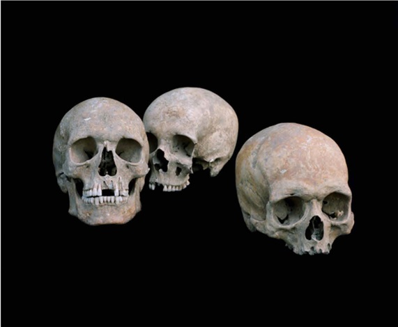 shirana-shahbazi-from-the-series-flowers,-fruits-&-portraits-(schaedel-03-painting-2008)