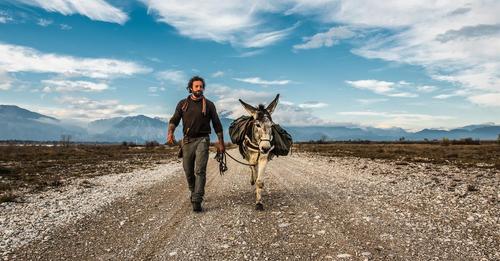 11791358332051698304