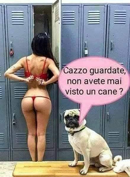 540710108_1074228024877578_8321450024695354226_n