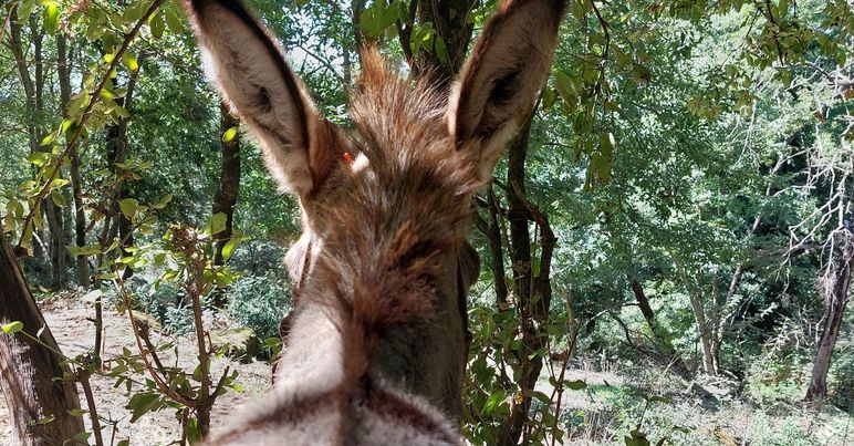 307337838_610043640783973_3882102718526851444_n