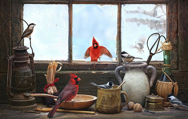 bids-party-alexander-sviridov