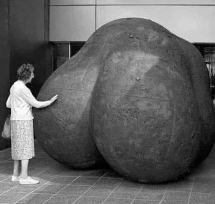 316088542_5582870798498312_2708615809674177066_n