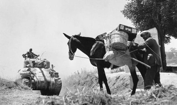 113744412-bcb43228-2786-415d-9344-e9bbcca94011