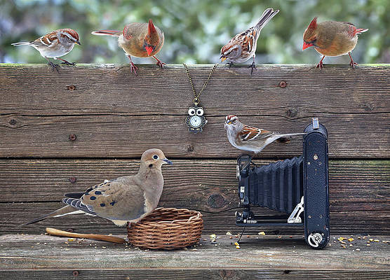 photo-session-alexander-sviridov