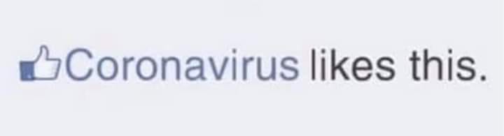 93998392_10221727816642677_4099549518142373888_n