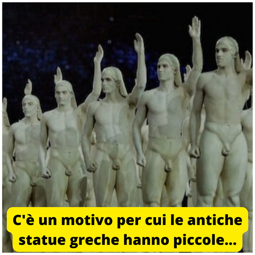 312975405_23852184226740231_7536541358593916936_n