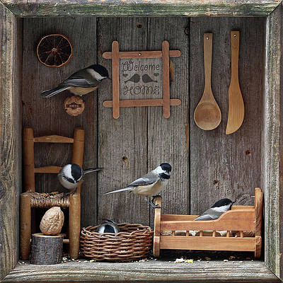 welcome-home-alexander-sviridov