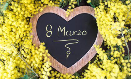 275551454_507978040690919_3630989132021662794_n